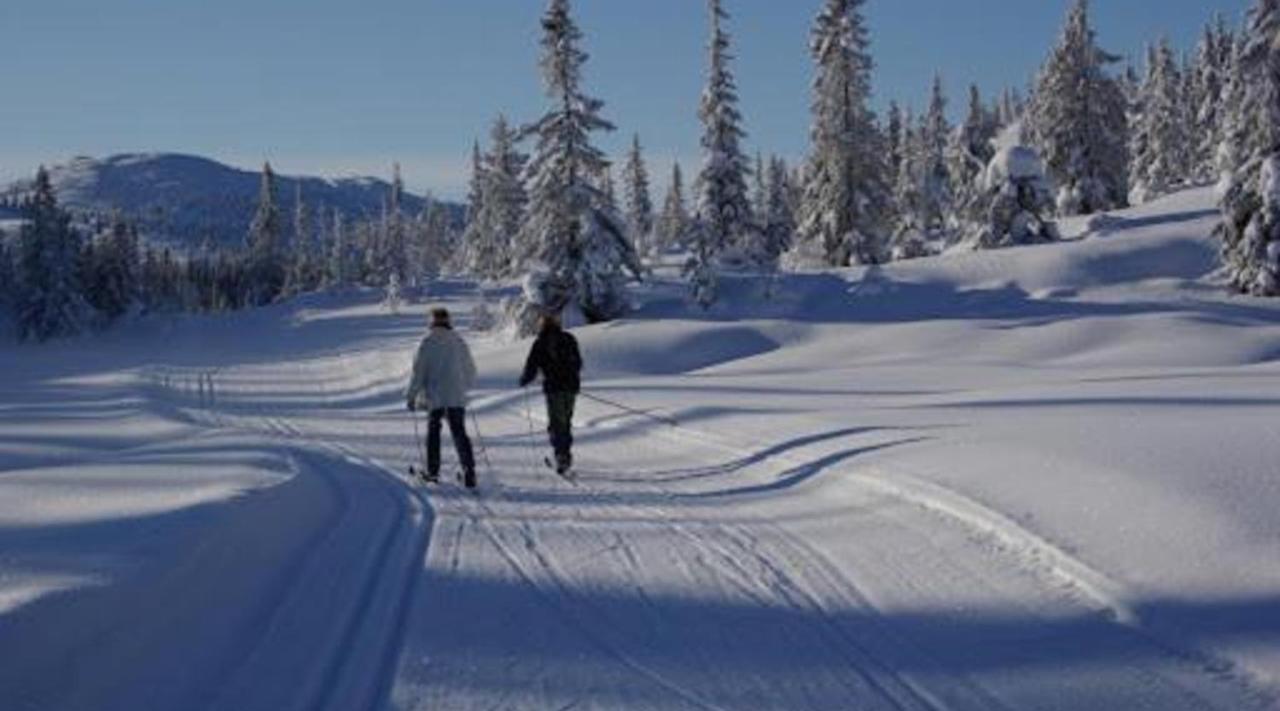 Hytte Naer Vannet, Jacuzzi Og Sauna Vradal Kültér fotó