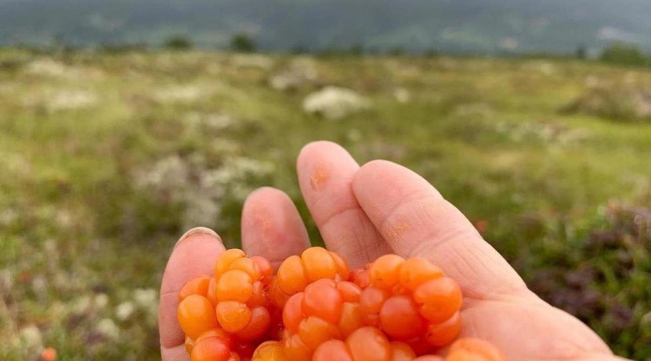 Hytte Naer Vannet, Jacuzzi Og Sauna Vradal Kültér fotó