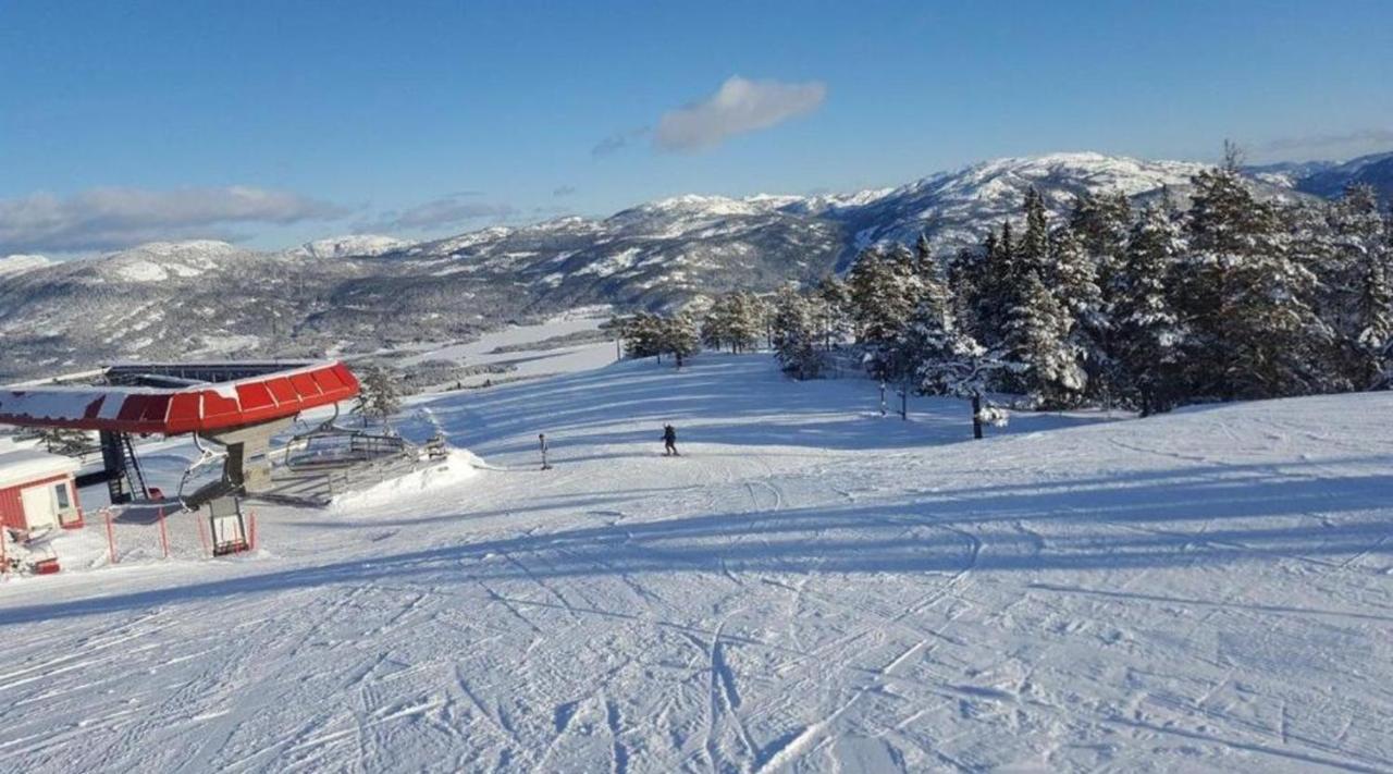Hytte Naer Vannet, Jacuzzi Og Sauna Vradal Kültér fotó